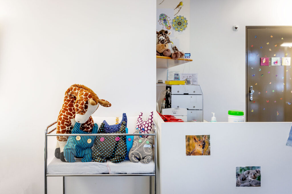 Ein Blick in die Tagesklinik: ein Büro und kuschelige Tiere